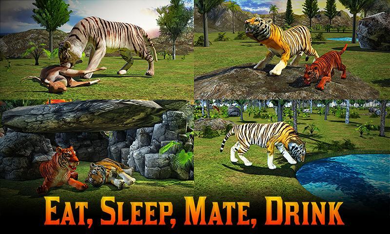 Adventures of Wild Tiger