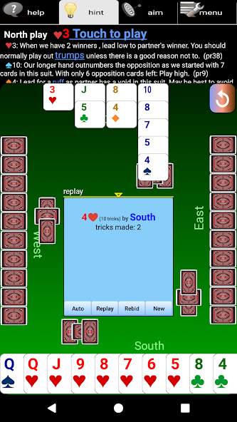 BJ Bridge Beginner (2024)