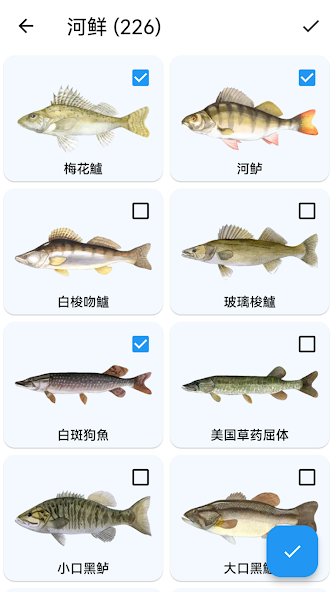 Fisherman Watch
