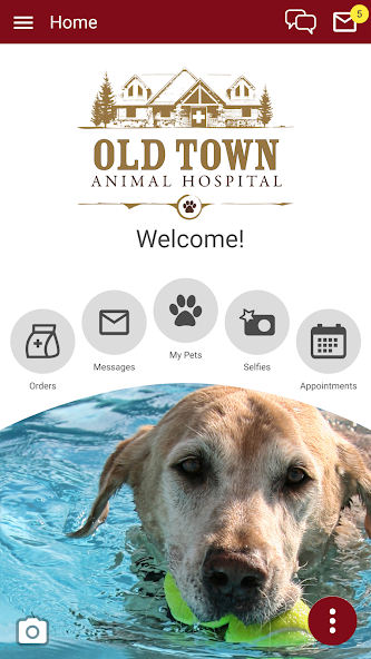 Old Town AH