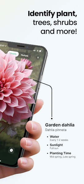 Plant App - Plant Identifier