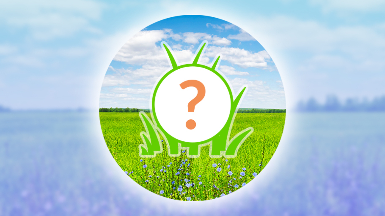 When Is the Next Spotlight Hour in Pokemon GO? November 2024 Spotlight Hour Schedule 