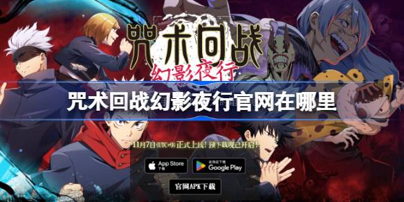Where is the official website of the magic night walk in the magic 