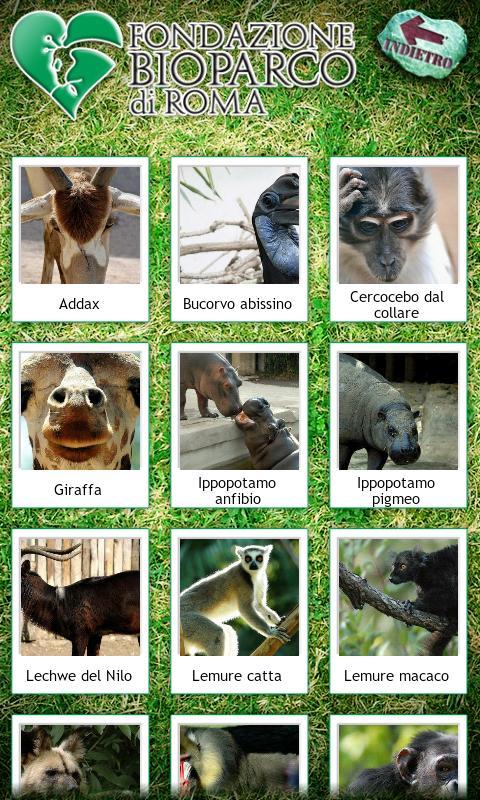 Bioparco di Roma