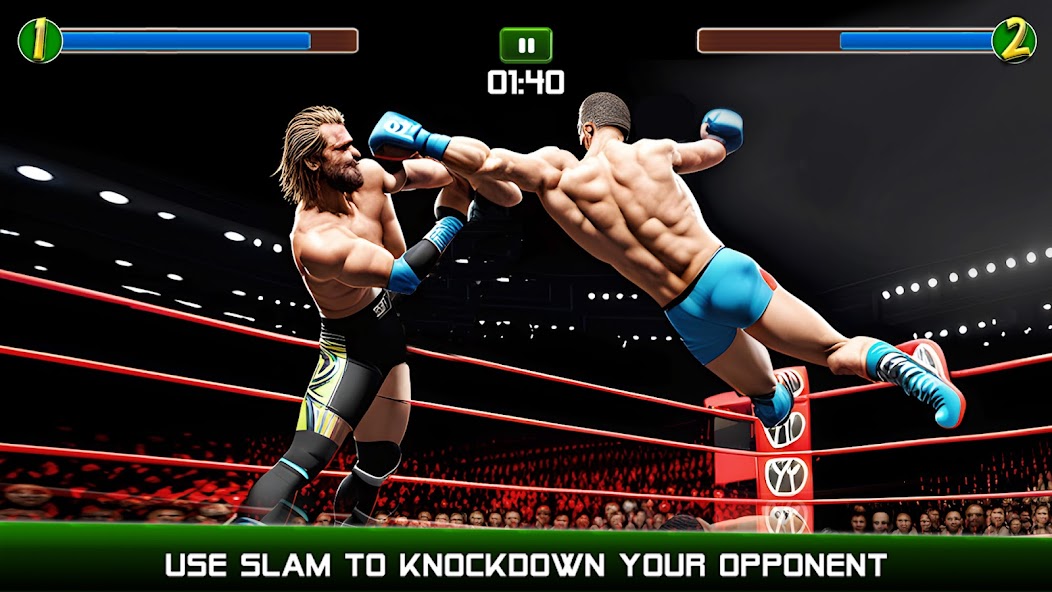 Pro Wrestling Mayhem Champions