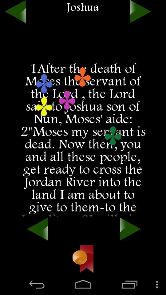NIV Holy Bible