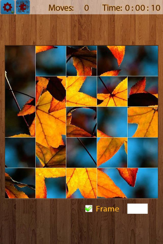 Leaf Jigsaw Puzzles