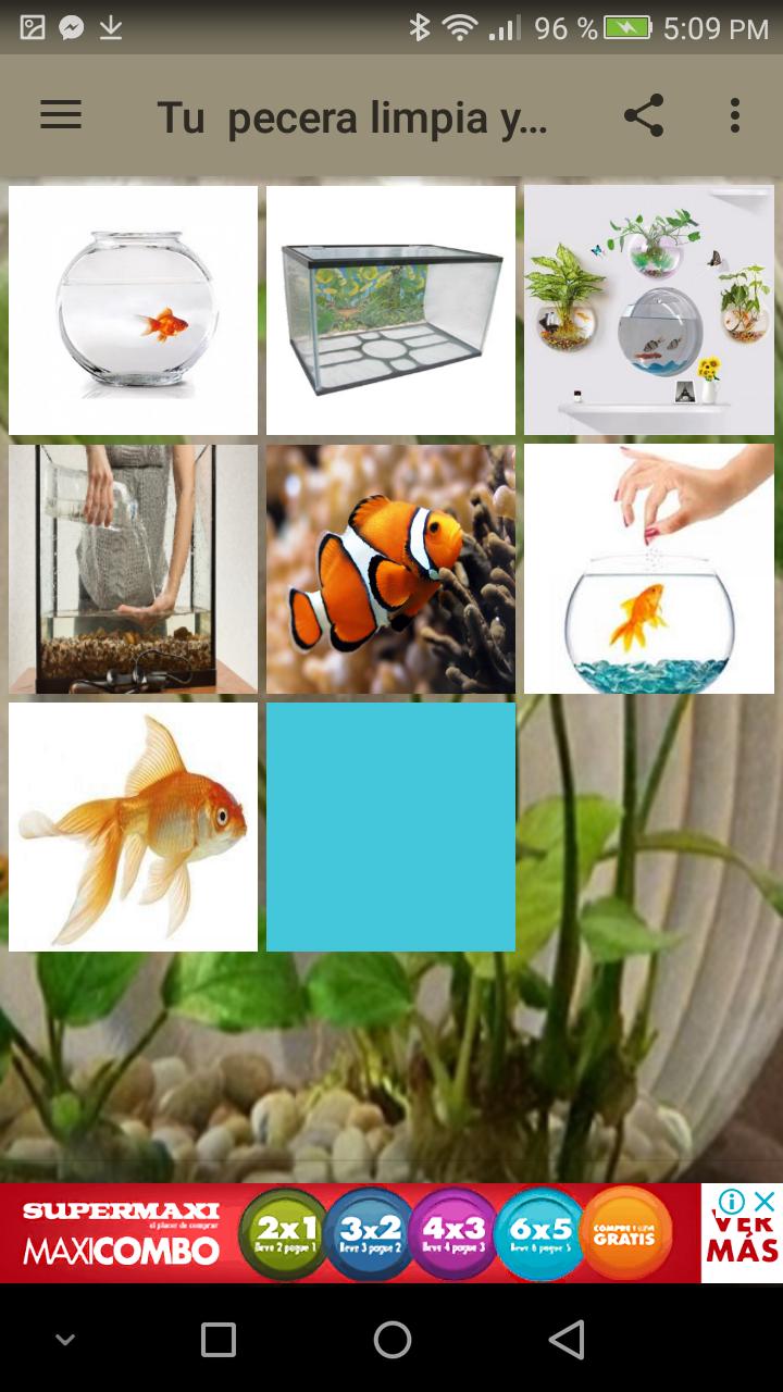 Tu pecera limpia y reluciente