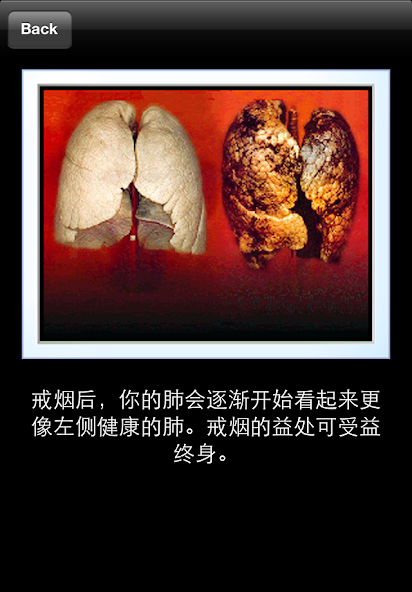 Stop Smoking, Stay Quit