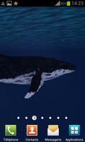 Ocean Whale Live wallpaper Pro
