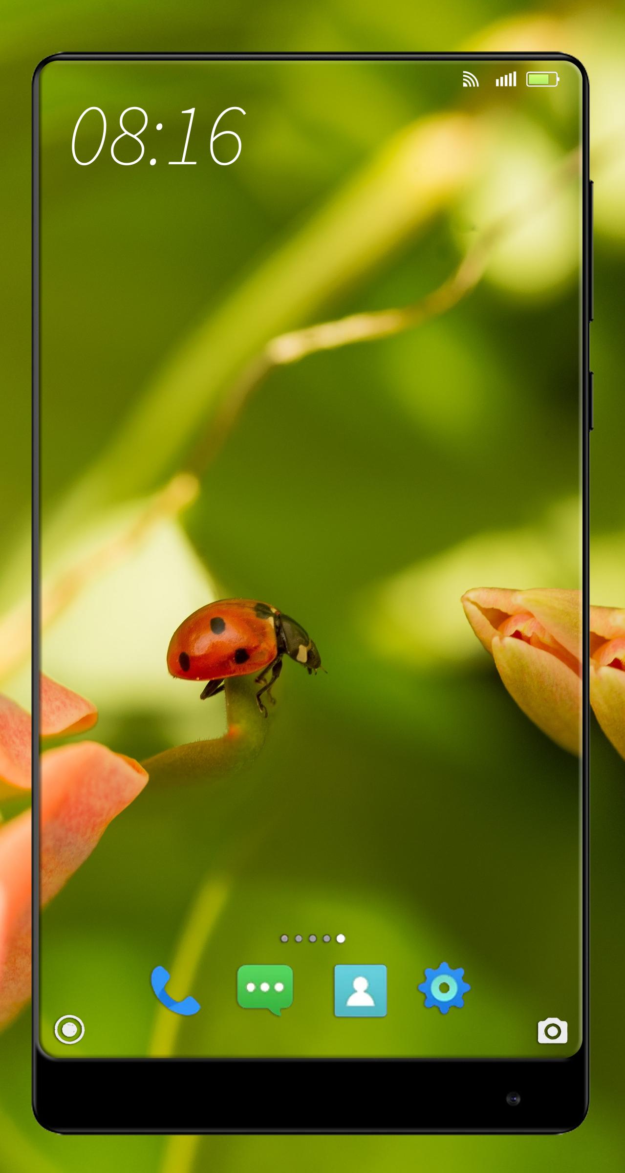 Wallpapers Macro 4K UHD