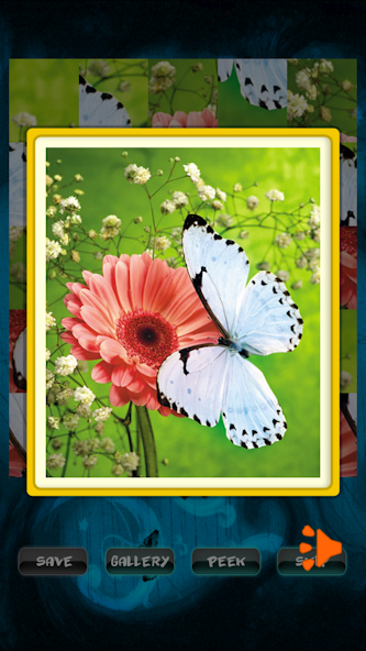 Butterfly Fluttering Puzzle
