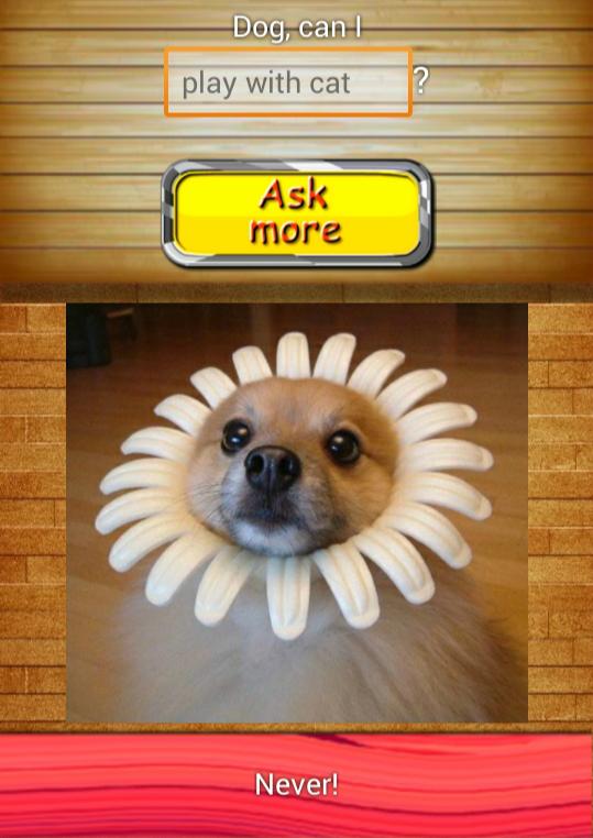 Talking with Dog Phrasebook