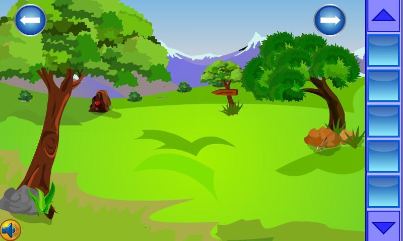 Rabbit Escape from Cage