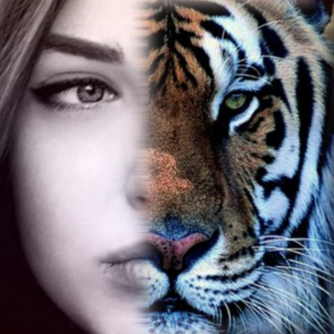 Animal Face Simulator