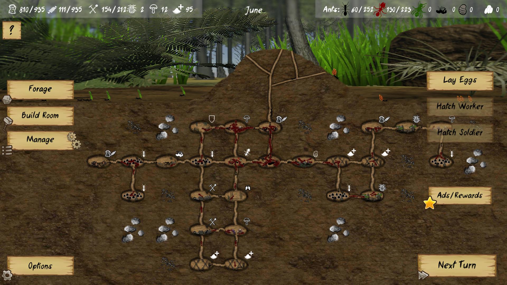 Finally Ants