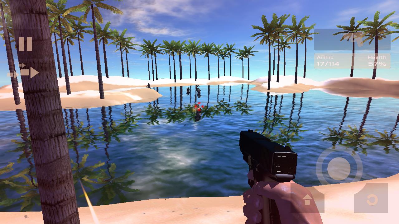 Beach Shooting