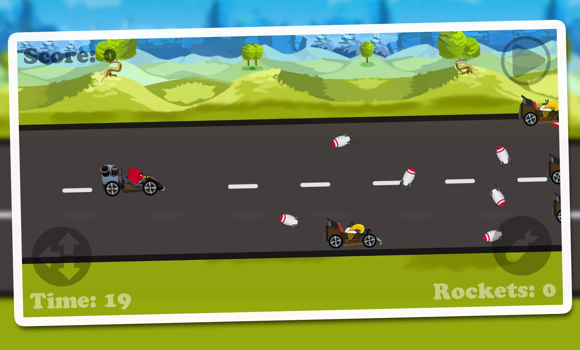 Angry Racing Bird 2017