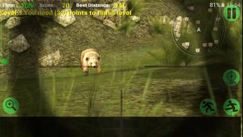 Cool Hunter