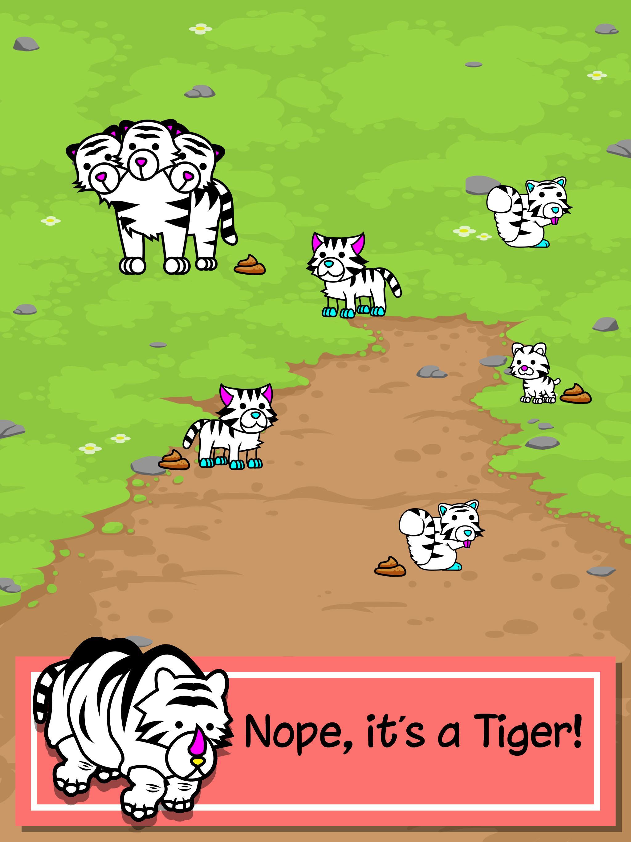 Tiger Evolution