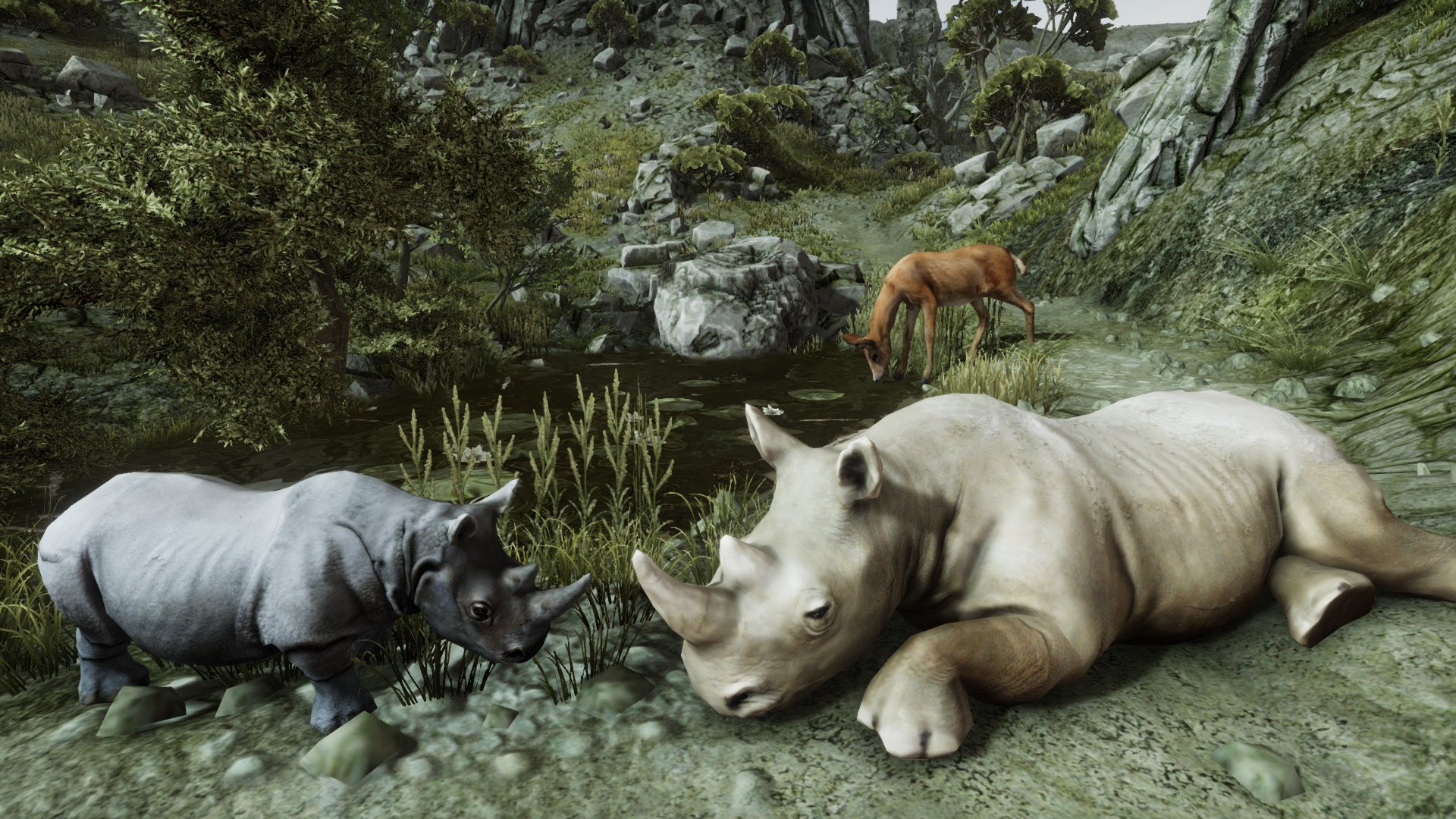 Ultimate Rhino Simulator