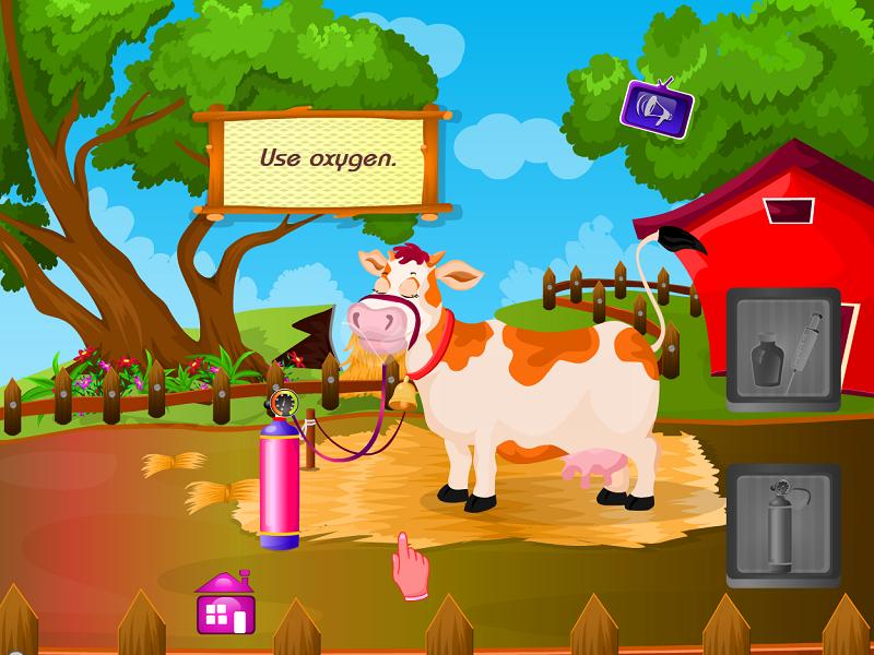 Cow Baby Birth