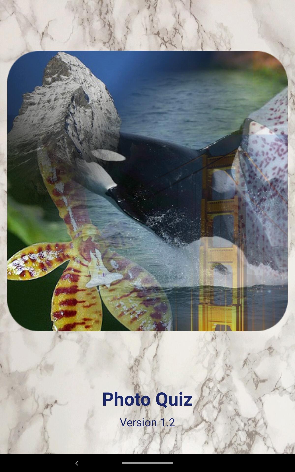 Photo Quiz