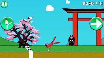 Kung Fu Kick