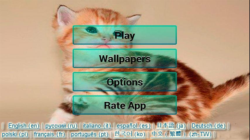 Cats and Kittens Puzzle