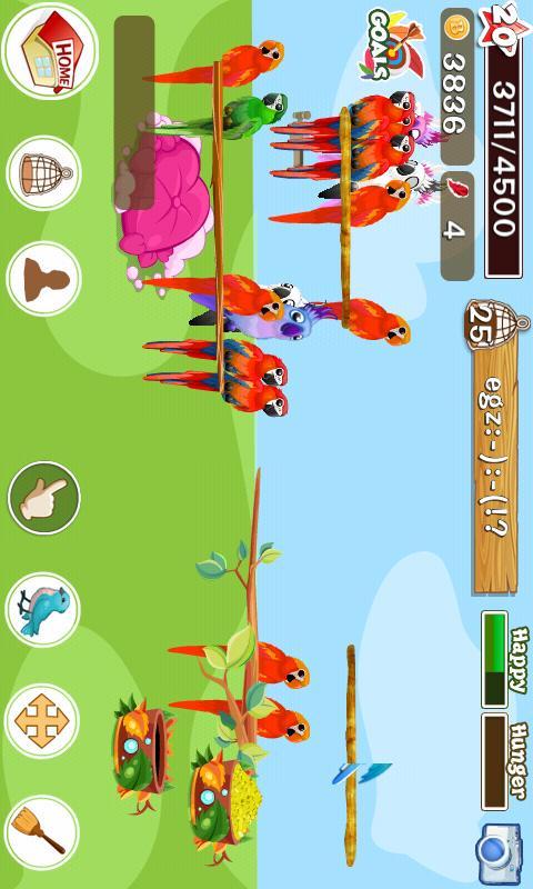 Bird Land