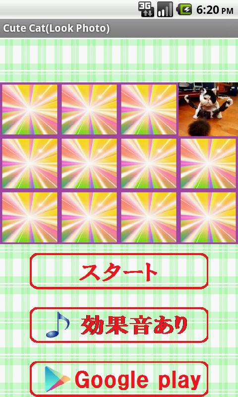 Cute Cat free(Look Photo)