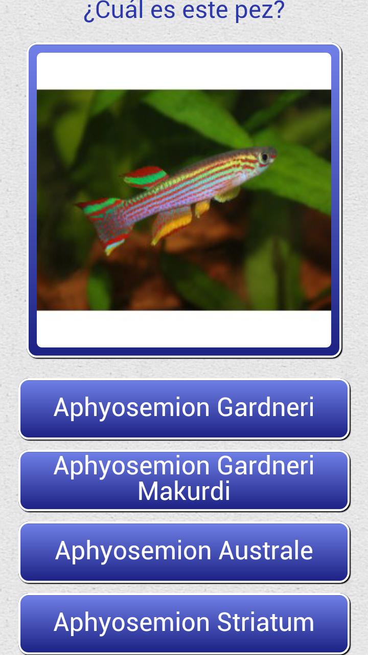 Adivina los Peces