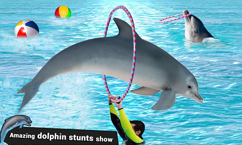 Dolphin Water Stunts Show