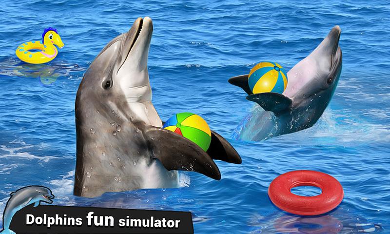 Dolphin Water Stunts Show