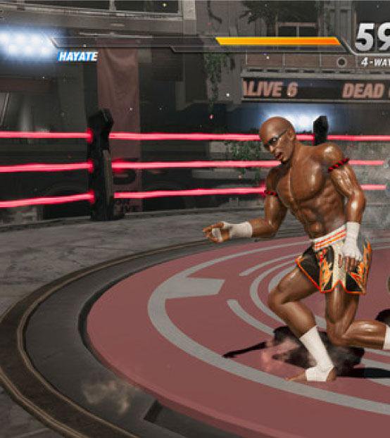 New DEAD OR ALIVE 6 - DOA 6 Companion