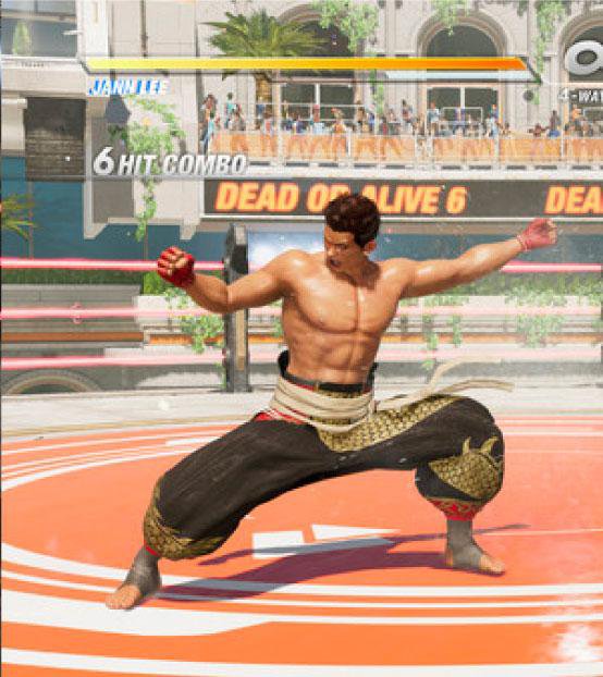 New DEAD OR ALIVE 6 - DOA 6 Companion