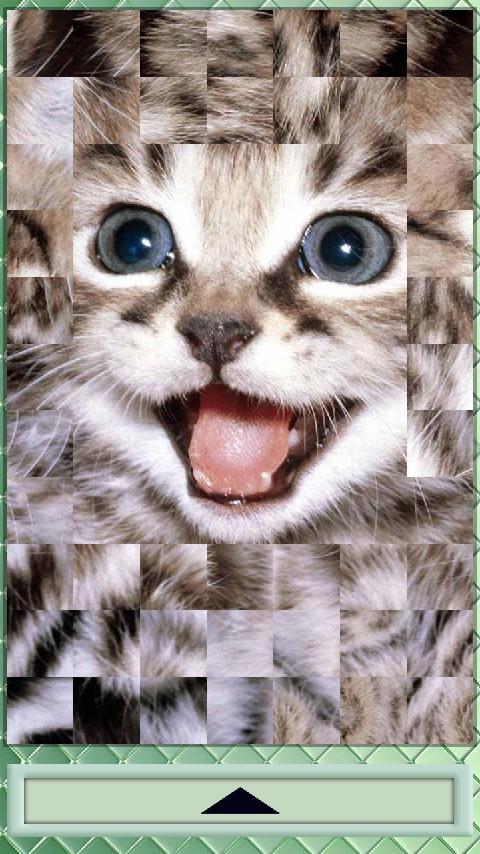 Puzzle Cats