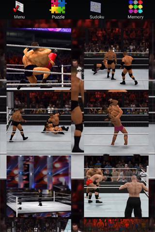 Wrestling Flash Punch: Trivia