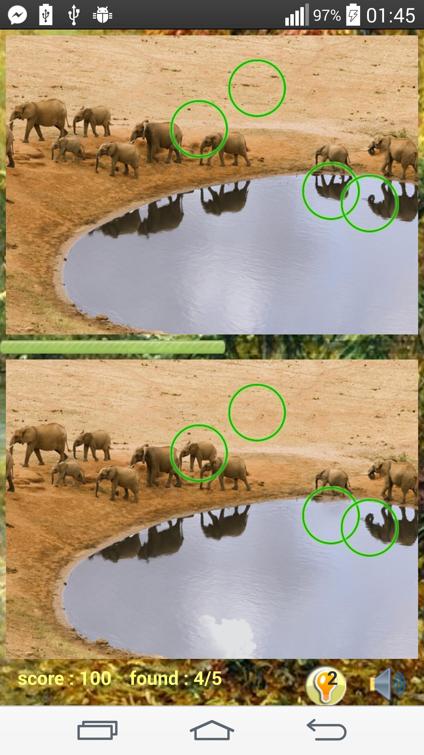 Photo Hunt Animal Game
